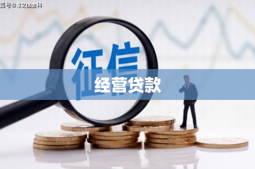 历下经营贷款