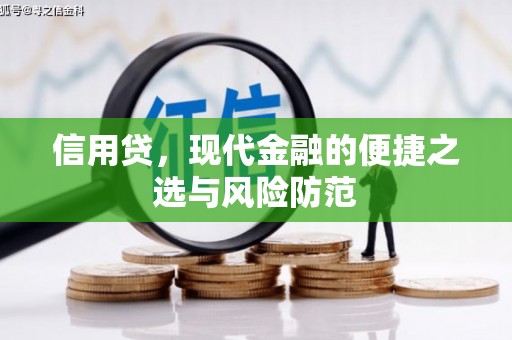 历下信用贷，现代金融的便捷之选与风险防范