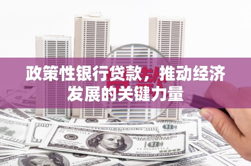 历下政策性银行贷款，推动经济发展的关键力量