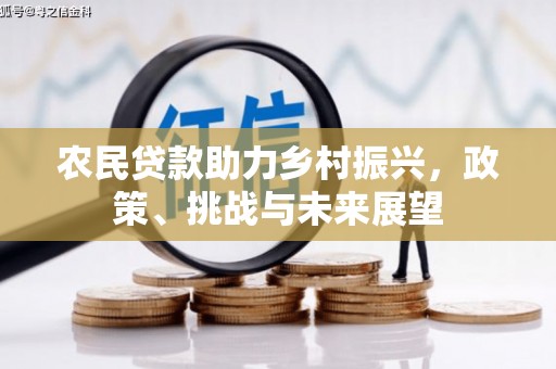 历下农民贷款助力乡村振兴，政策、挑战与未来展望