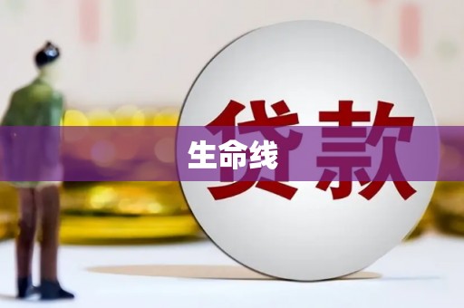 历下生命线