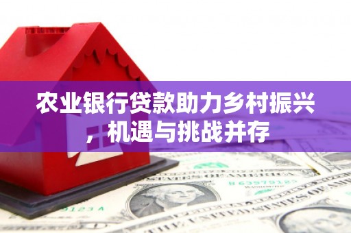 历下农业银行贷款助力乡村振兴，机遇与挑战并存