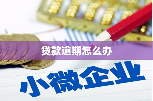 历下贷款逾期怎么办