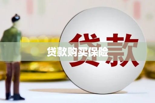 历下贷款购买保险