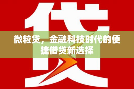 历下微粒贷，金融科技时代的便捷借贷新选择