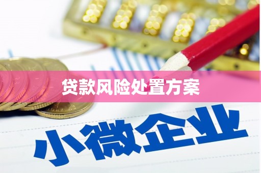 历下贷款风险处置方案