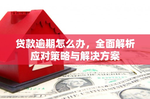 历下贷款逾期怎么办，全面解析应对策略与解决方案