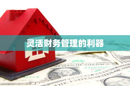 历下灵活财务管理的利器