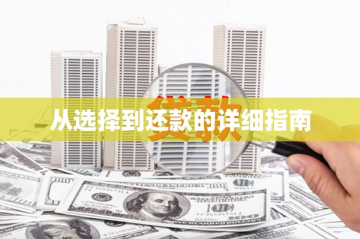历下从选择到还款的详细指南