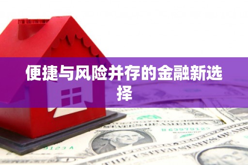 历下便捷与风险并存的金融新选择