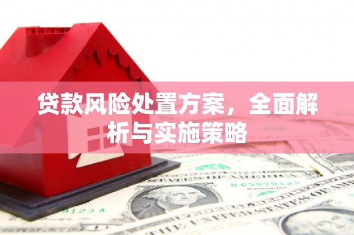 历下贷款风险处置方案，全面解析与实施策略